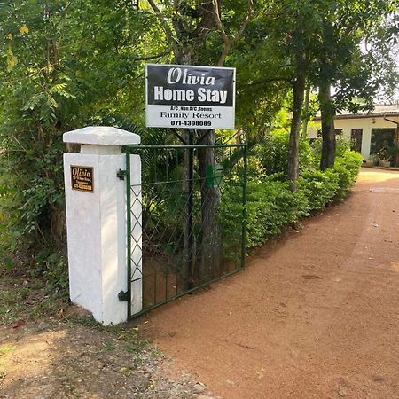 Olivia Homestay Anuradhapura Zewnętrze zdjęcie