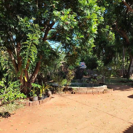 Olivia Homestay Anuradhapura Zewnętrze zdjęcie