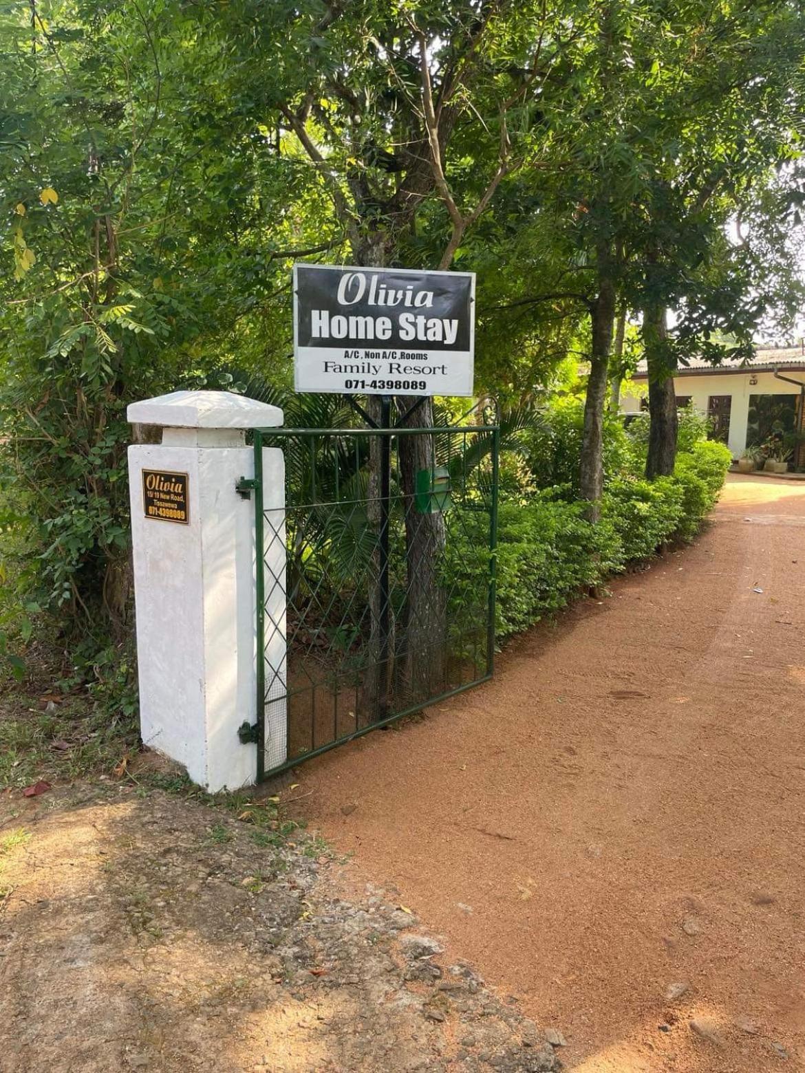 Olivia Homestay Anuradhapura Zewnętrze zdjęcie
