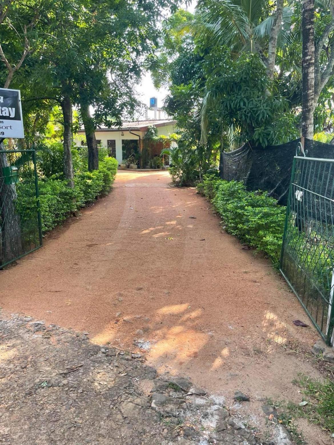 Olivia Homestay Anuradhapura Zewnętrze zdjęcie