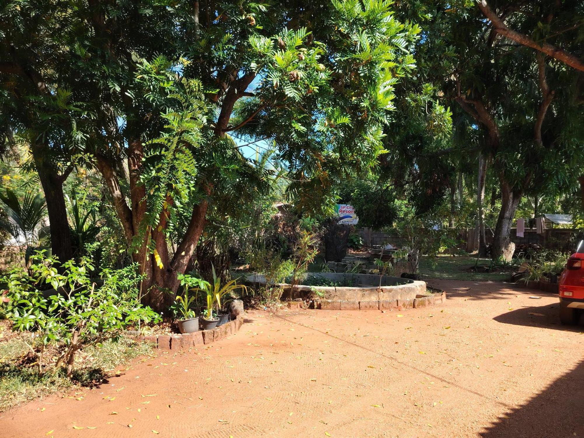 Olivia Homestay Anuradhapura Zewnętrze zdjęcie