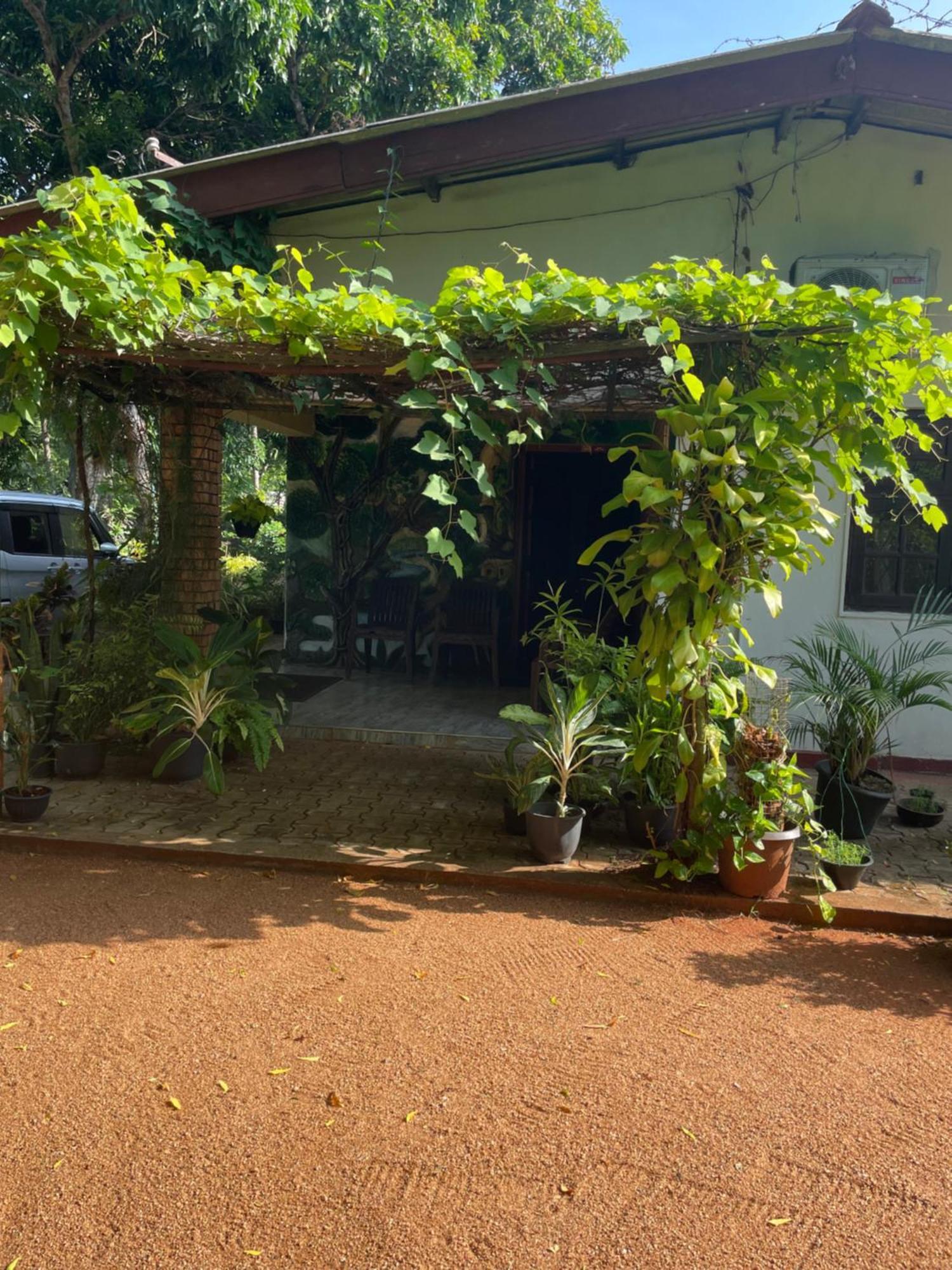 Olivia Homestay Anuradhapura Zewnętrze zdjęcie