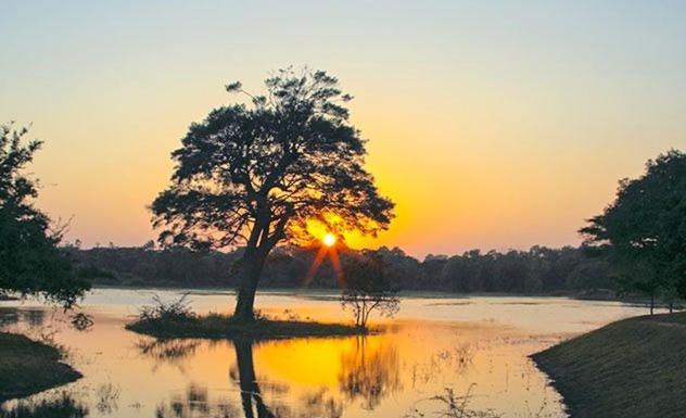 Olivia Homestay Anuradhapura Zewnętrze zdjęcie