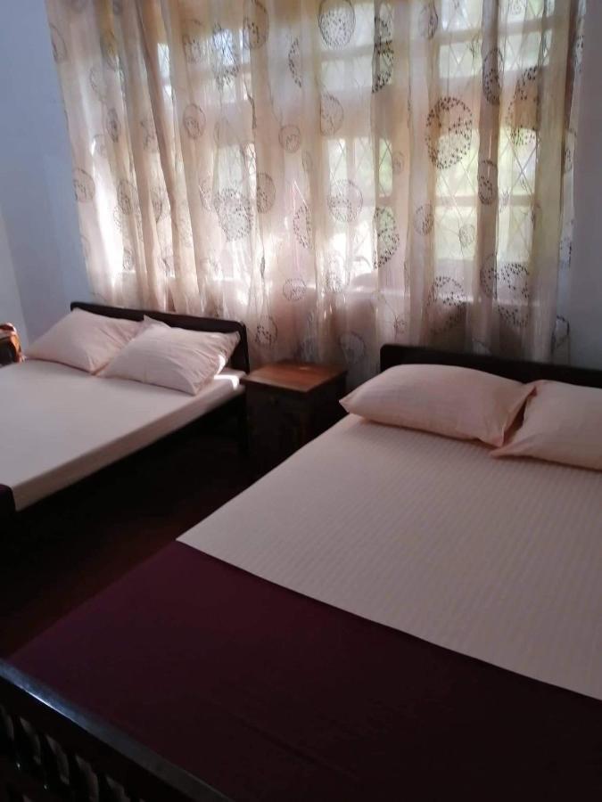 Olivia Homestay Anuradhapura Zewnętrze zdjęcie